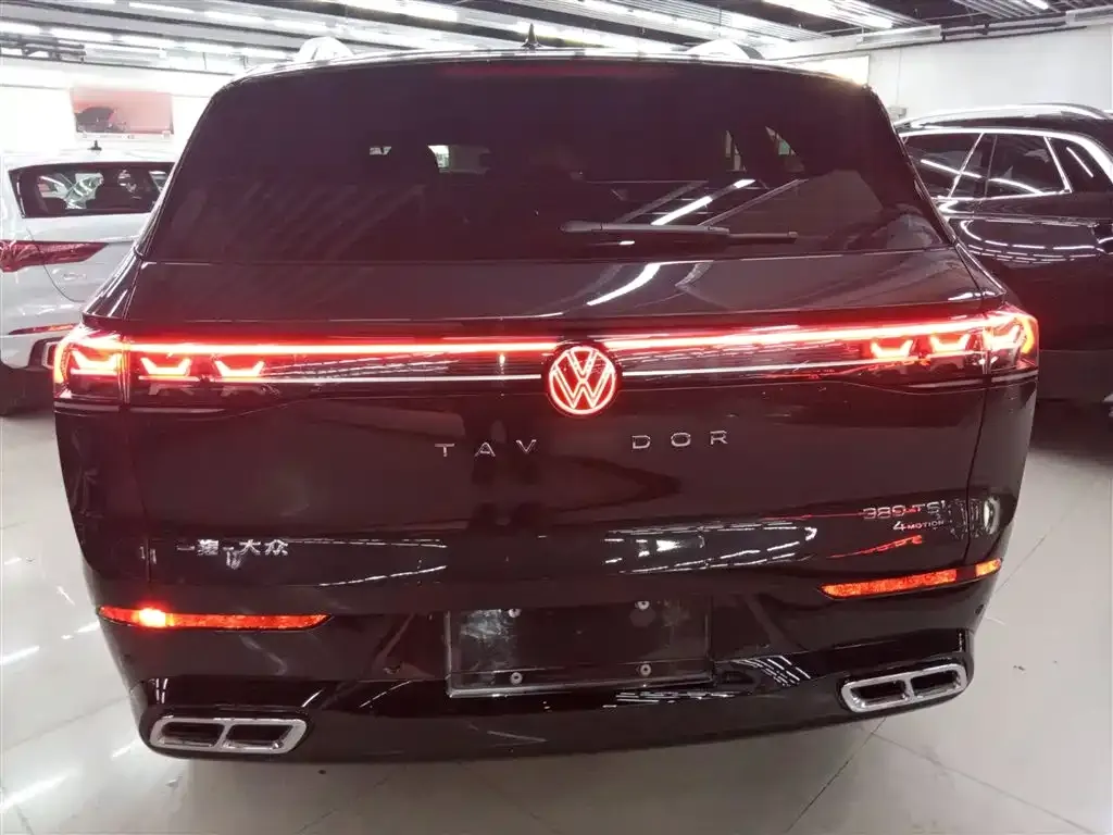 Volkswagen Tavendor 2024 из CN, фото 6