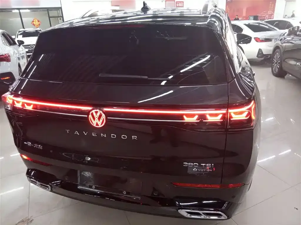 Volkswagen Tavendor 2024 из CN, фото 7