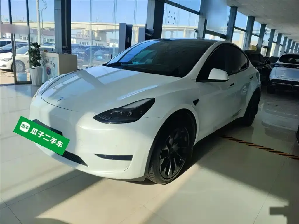 Tesla Model Y — фото 2