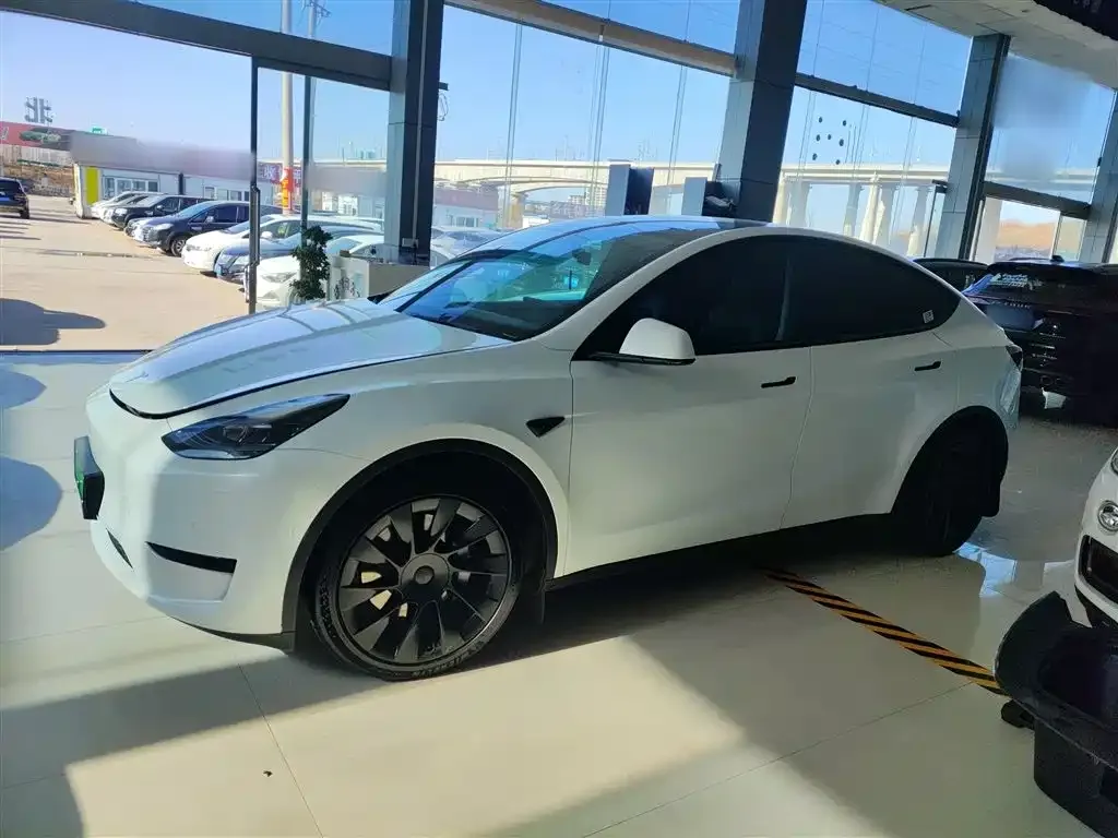 Tesla Model Y — фото 5