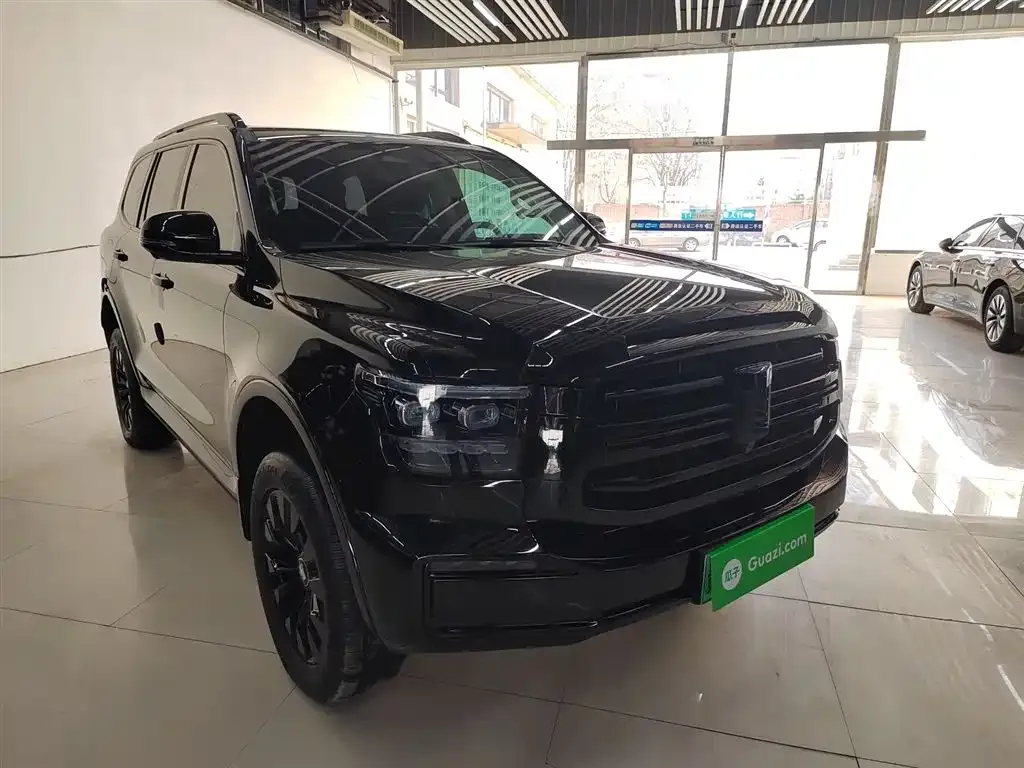 Tank 500 New Energy 2024 из CN, фото 6