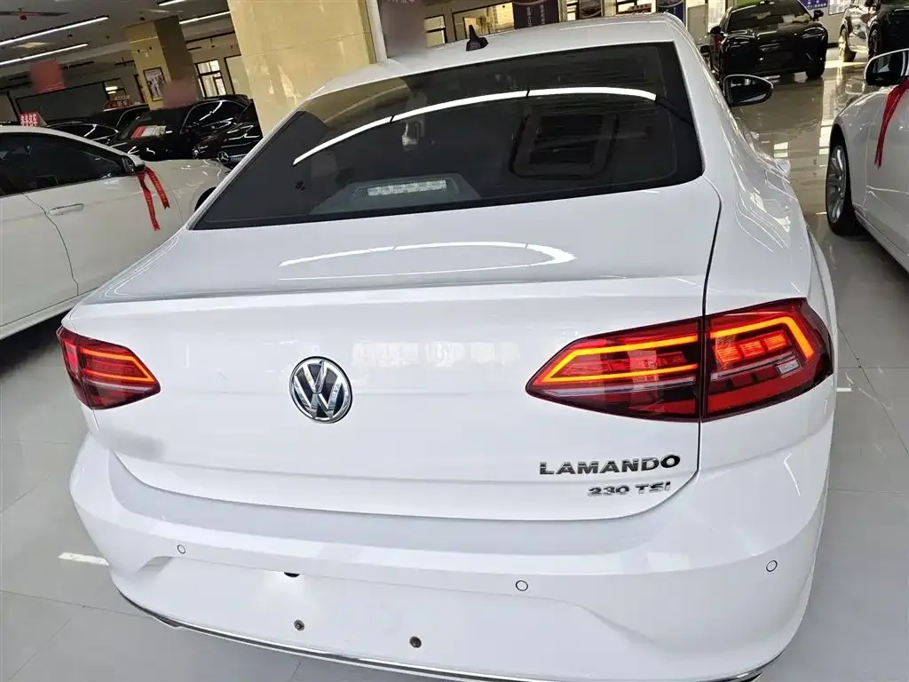 Volkswagen Lamando 2021 из CN, фото 6