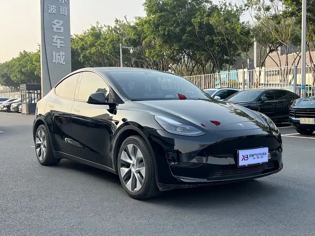 Tesla Model Y — фото 3