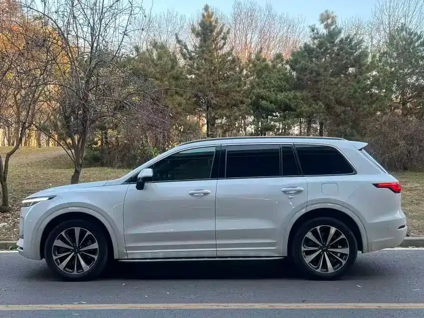 Li Auto ONE 2022 из CN, фото 6