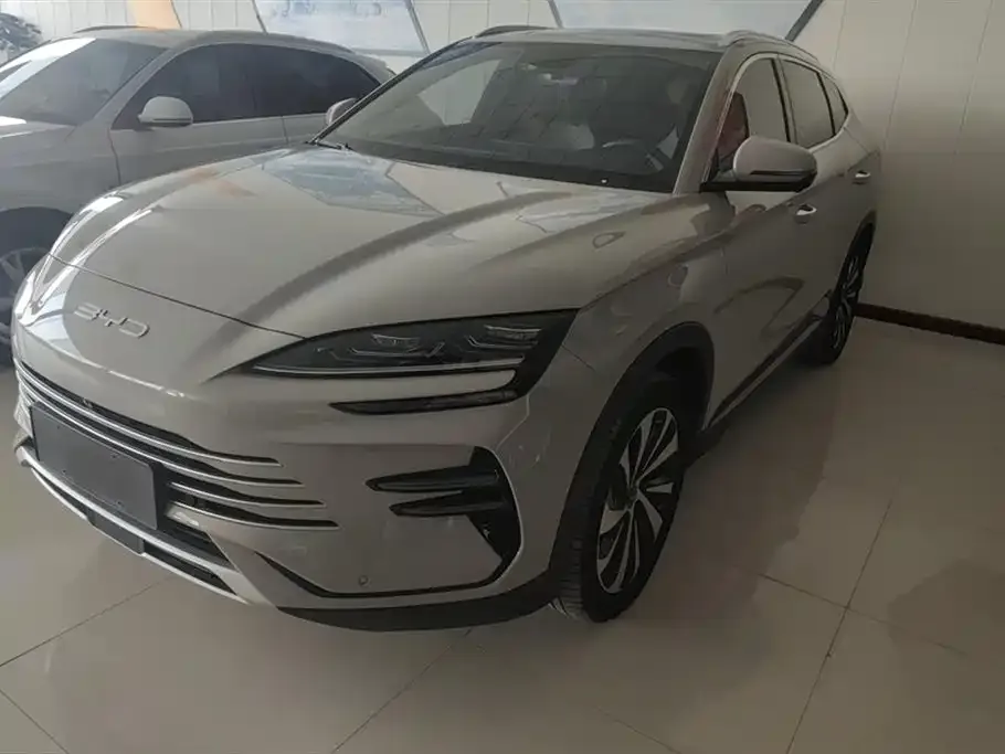 BYD PLUS New Energy 2024 из CN, фото 1