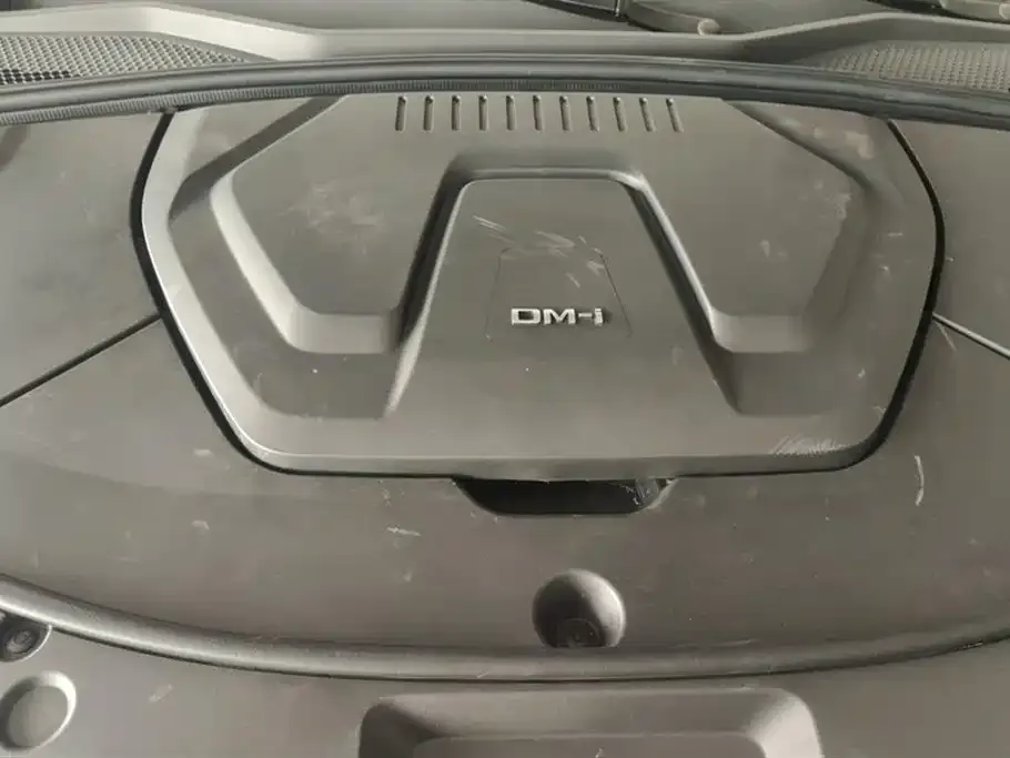 BYD PLUS New Energy 2024 из CN, фото 3