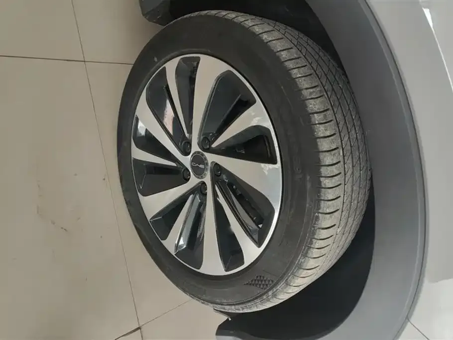 BYD PLUS New Energy 2024 из CN, фото 6