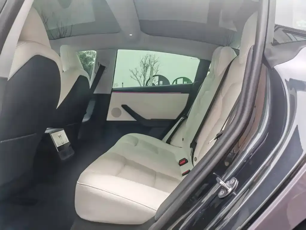 Tesla Model 3 2025 из CN, фото 3