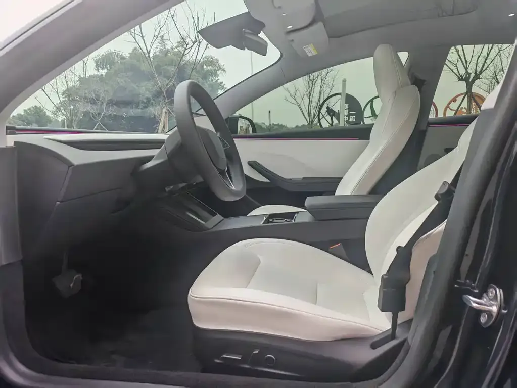 Tesla Model 3 2025 из CN, фото 8
