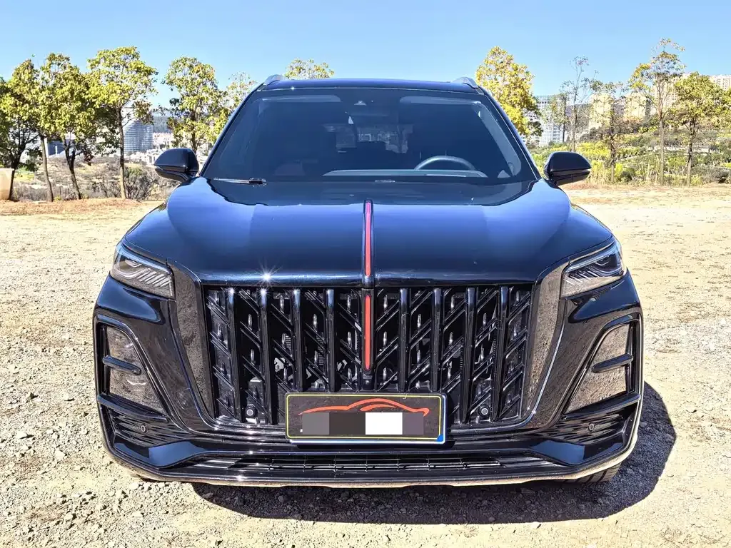 Hongqi HS5 2025 из CN, фото 8