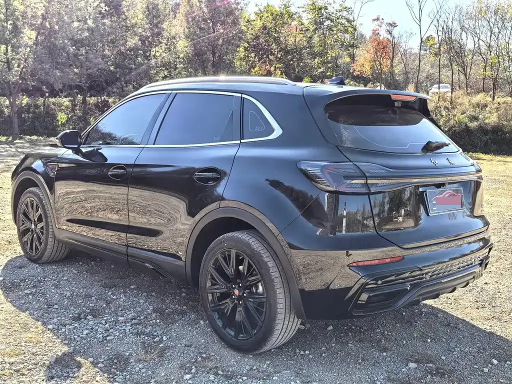 Hongqi HS5 2025 из CN, фото 6