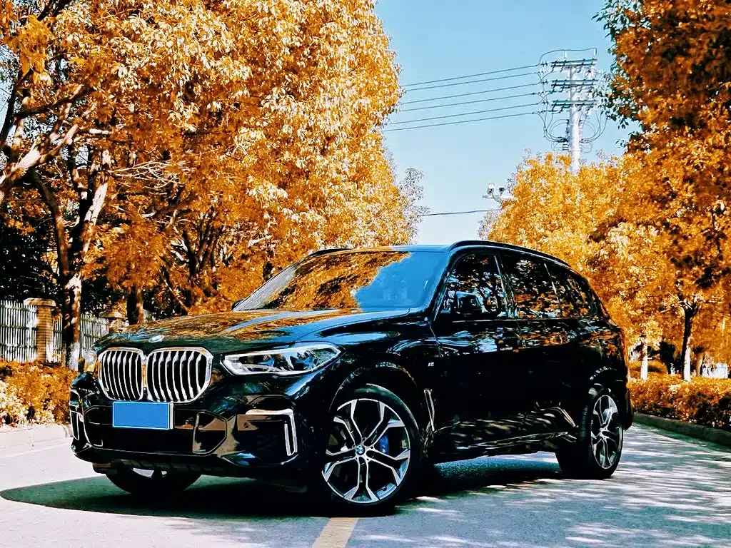 BMW X5 2023 из CN, фото 1