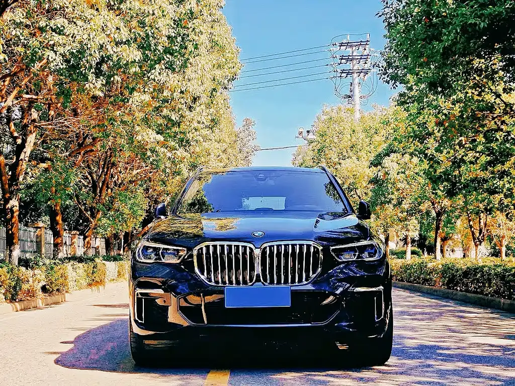 BMW X5 2023 из CN, фото 9