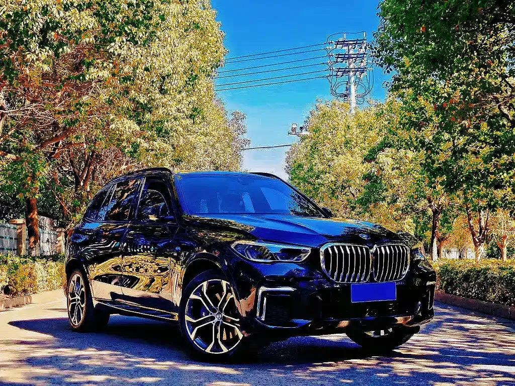 BMW X5 2023 из CN, фото 5