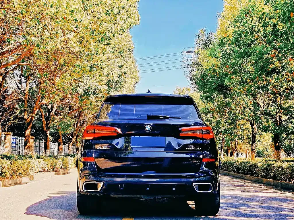 BMW X5 2023 из CN, фото 7