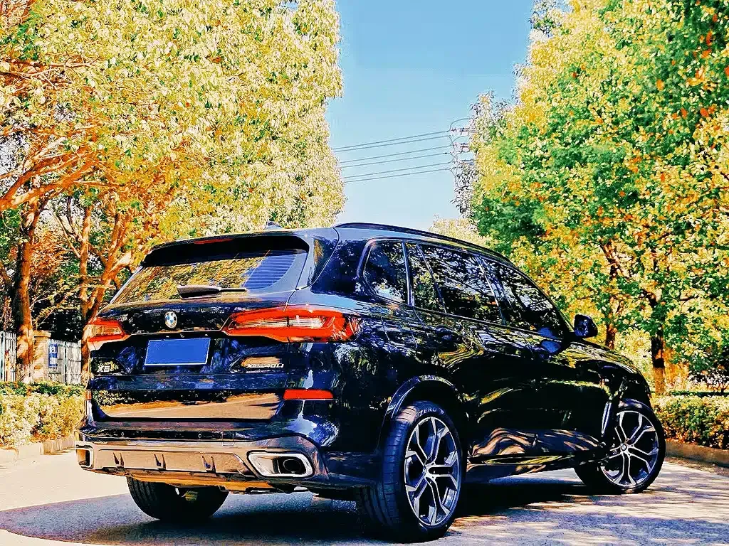 BMW X5 2023 из CN, фото 6