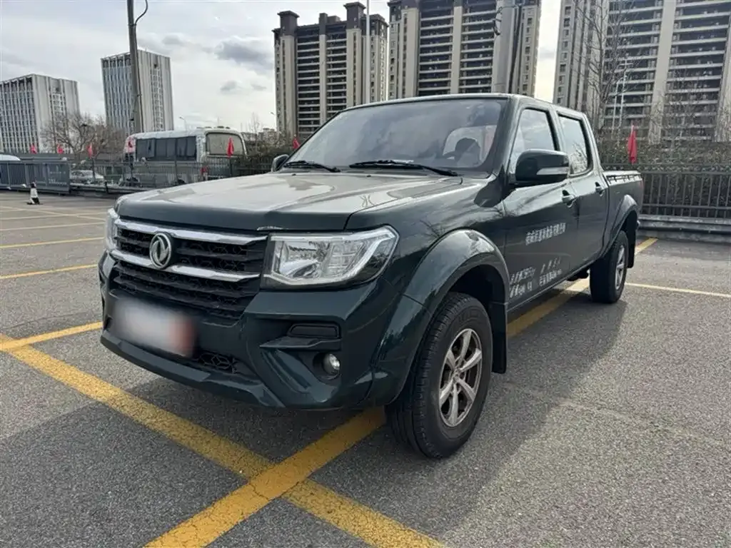 Dongfeng Rich 2025 из CN, фото 3