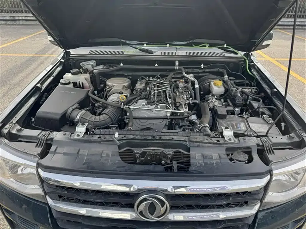 Dongfeng Rich 2025 из CN, фото 4