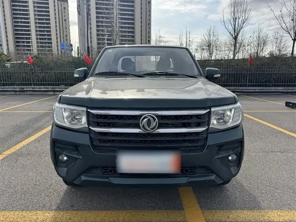 Dongfeng Rich 2025 из CN, фото 8