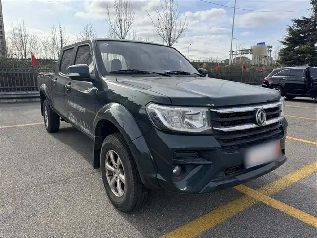 Dongfeng Rich 2025 из CN, фото 9