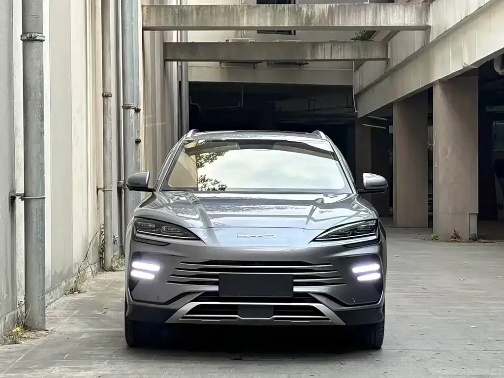 BYD PLUS New Energy 2024 из CN, фото 2
