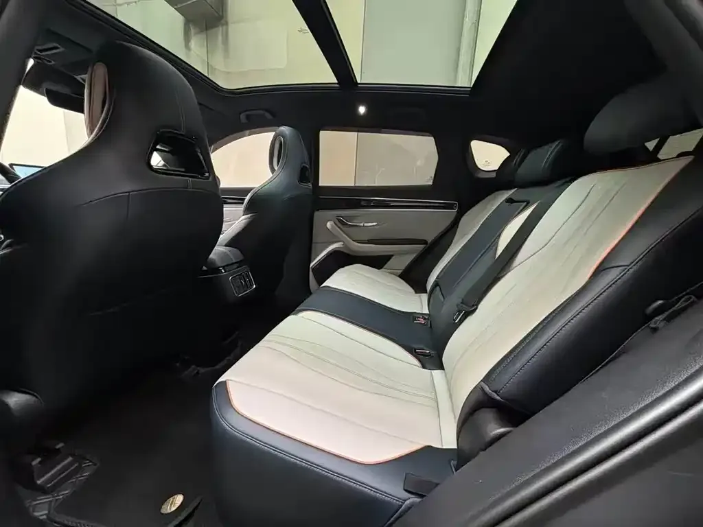 BYD PLUS New Energy 2024 из CN, фото 5