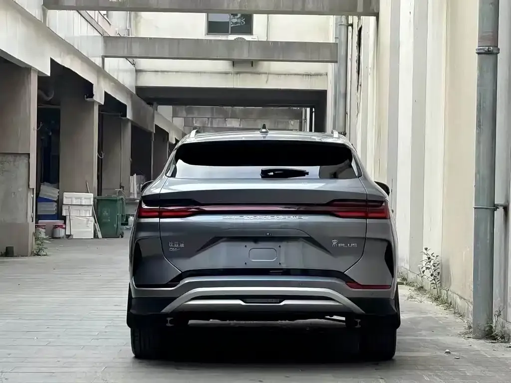BYD PLUS New Energy 2024 из CN, фото 8