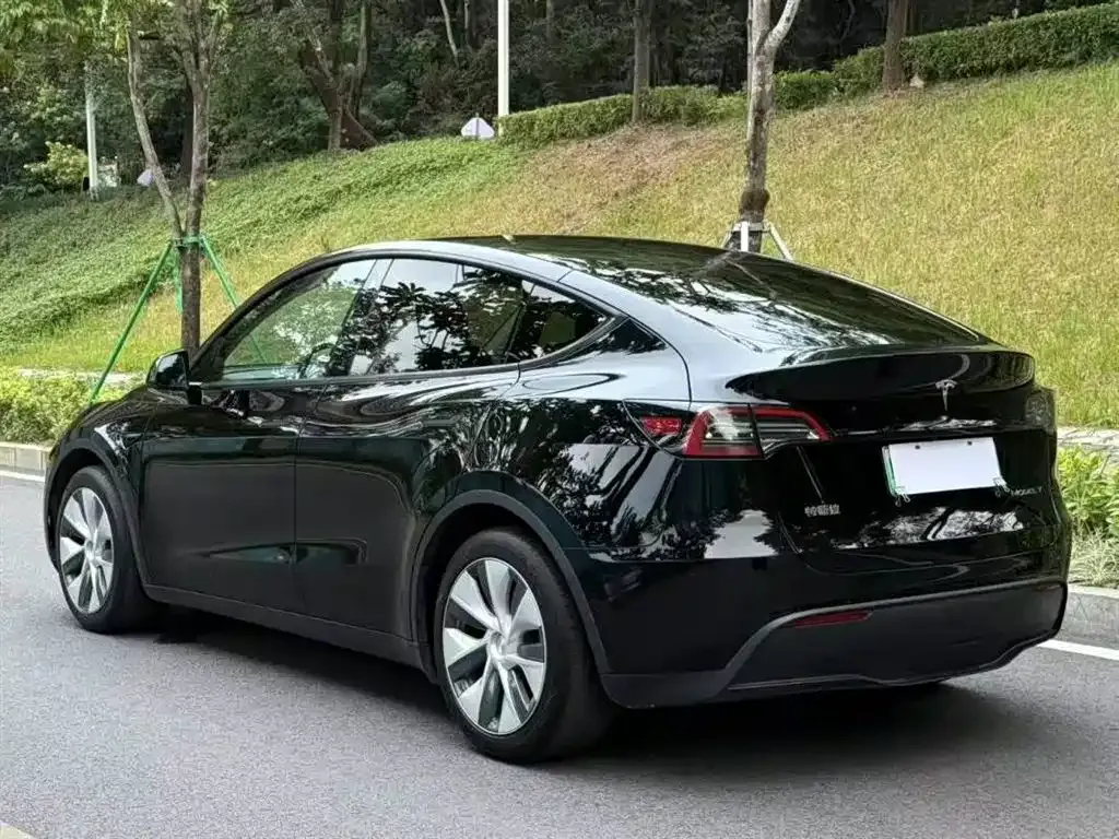 Tesla Model Y 2023 из CN, фото 4