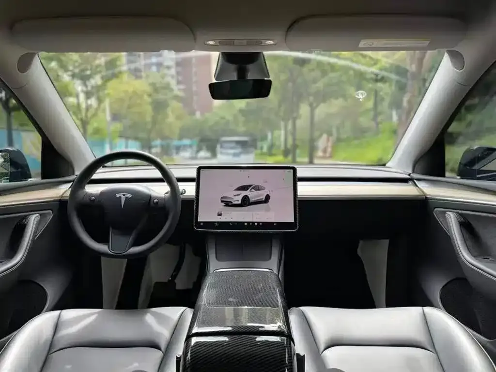 Tesla Model Y 2023 из CN, фото 6
