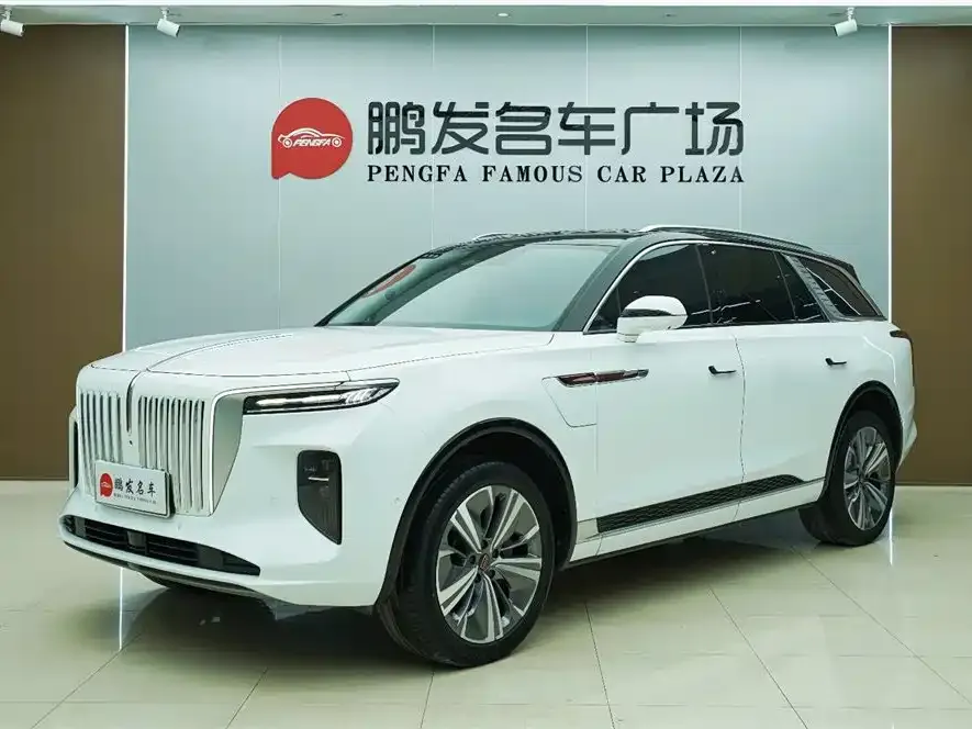 Hongqi E-HS9 2022 из CN, фото 1