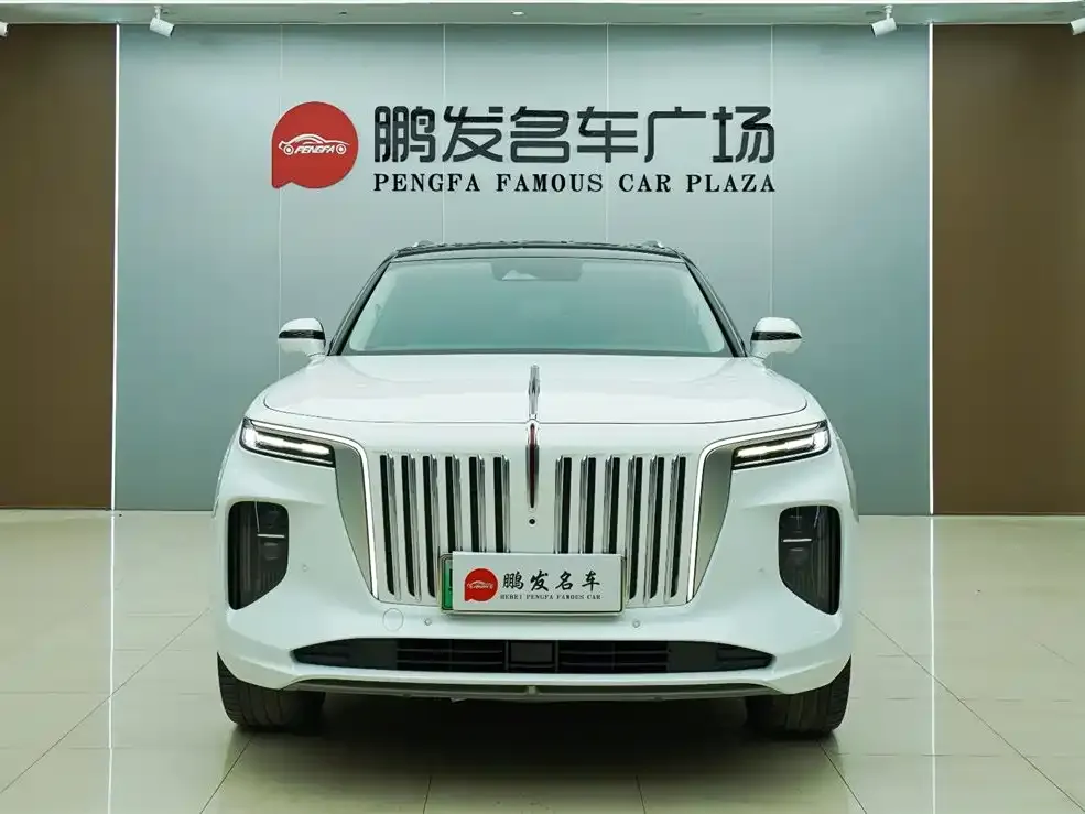 Hongqi E-HS9 2022 из CN, фото 3