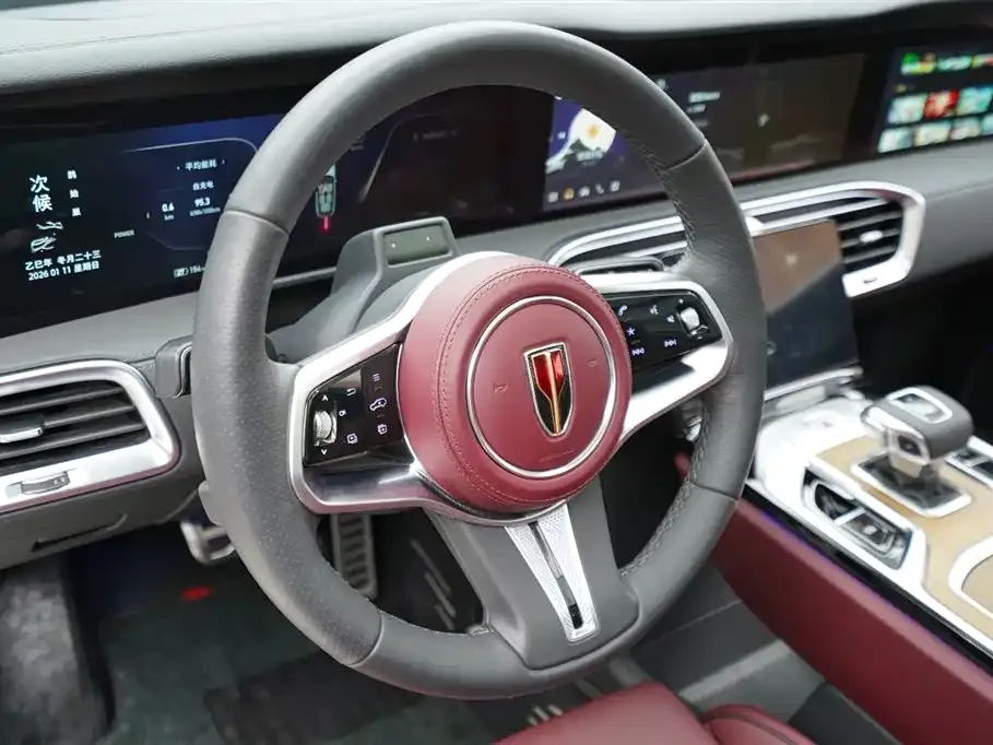 Hongqi E-HS9 2022 из CN, фото 10