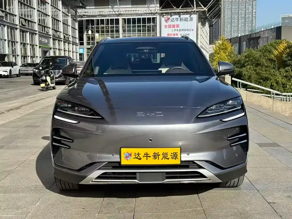 BYD PLUS New Energy 2025 из CN, фото 2