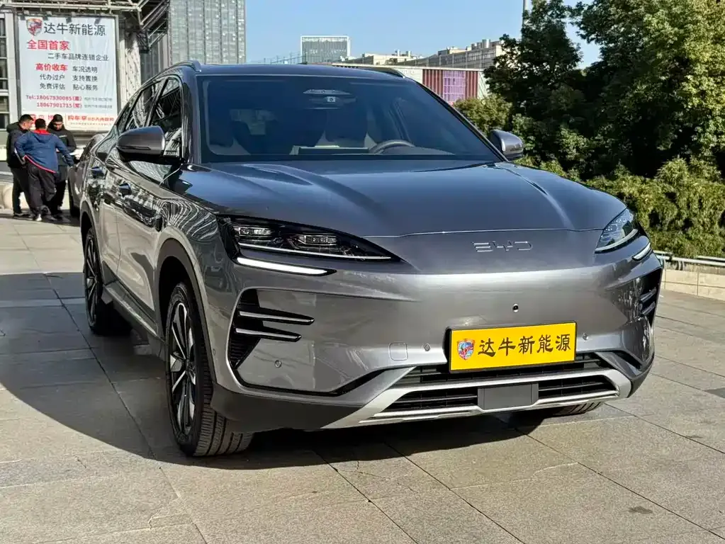 BYD PLUS New Energy 2025 из CN, фото 3