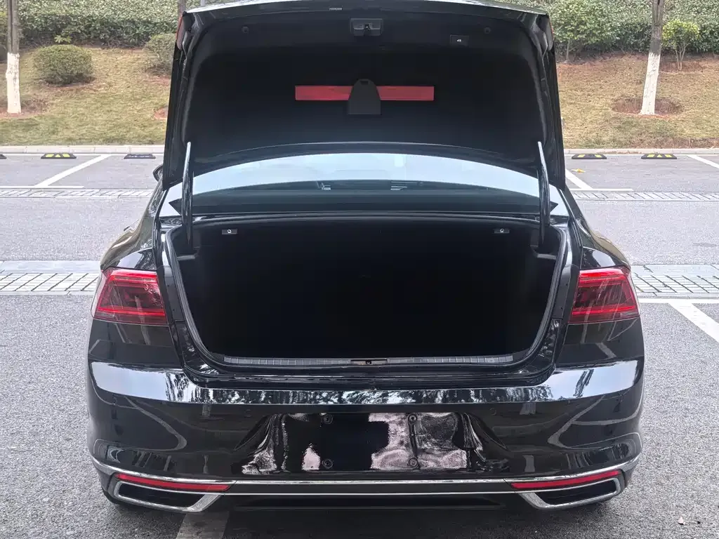 Volkswagen Magotan 2021 из CN, фото 2
