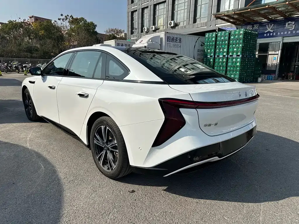 Hongqi EH7 2024 из CN, фото 6