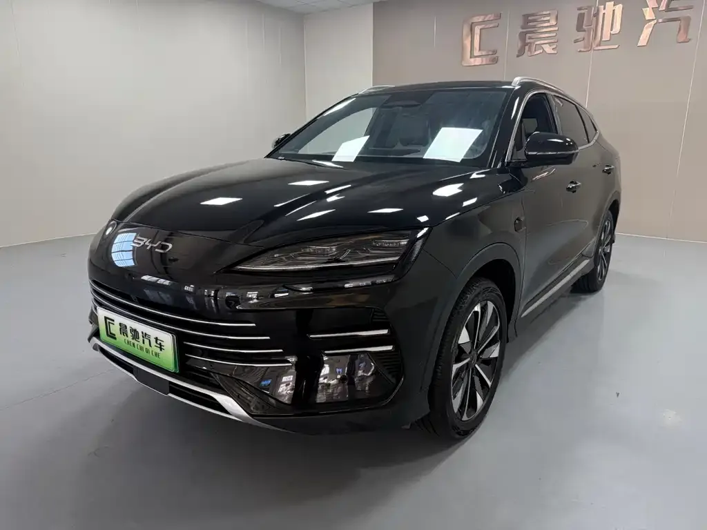 BYD PLUS New Energy — фото 1