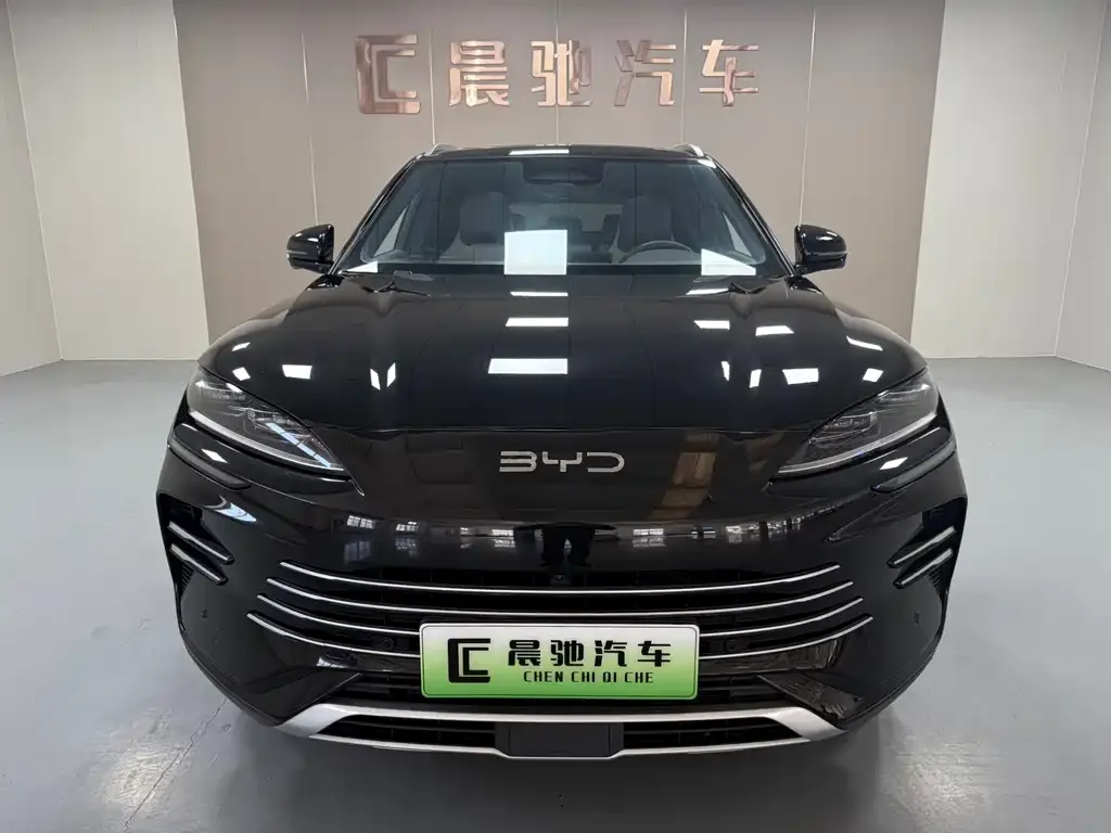 BYD PLUS New Energy — фото 4