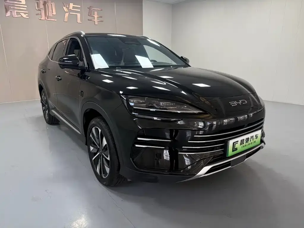 BYD PLUS New Energy — фото 10