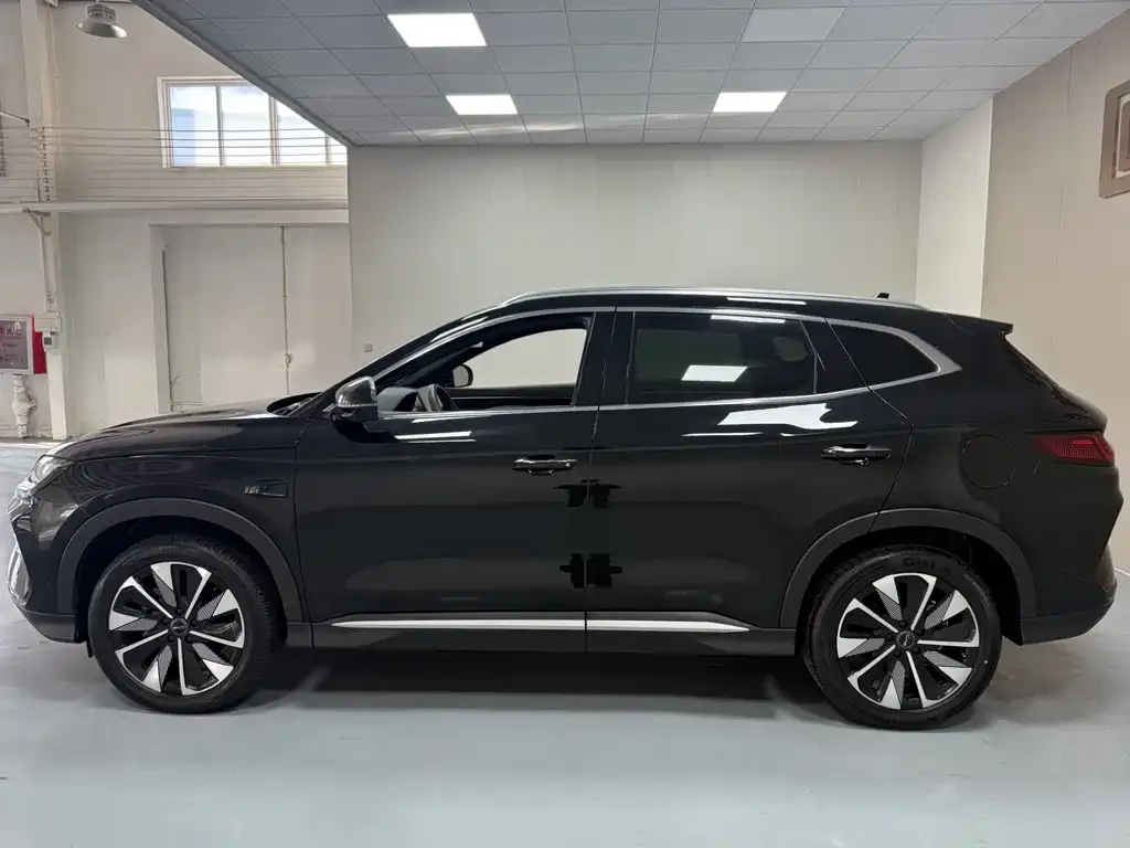 BYD PLUS New Energy — фото 6