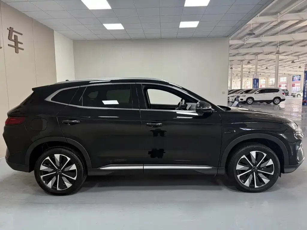BYD PLUS New Energy — фото 2