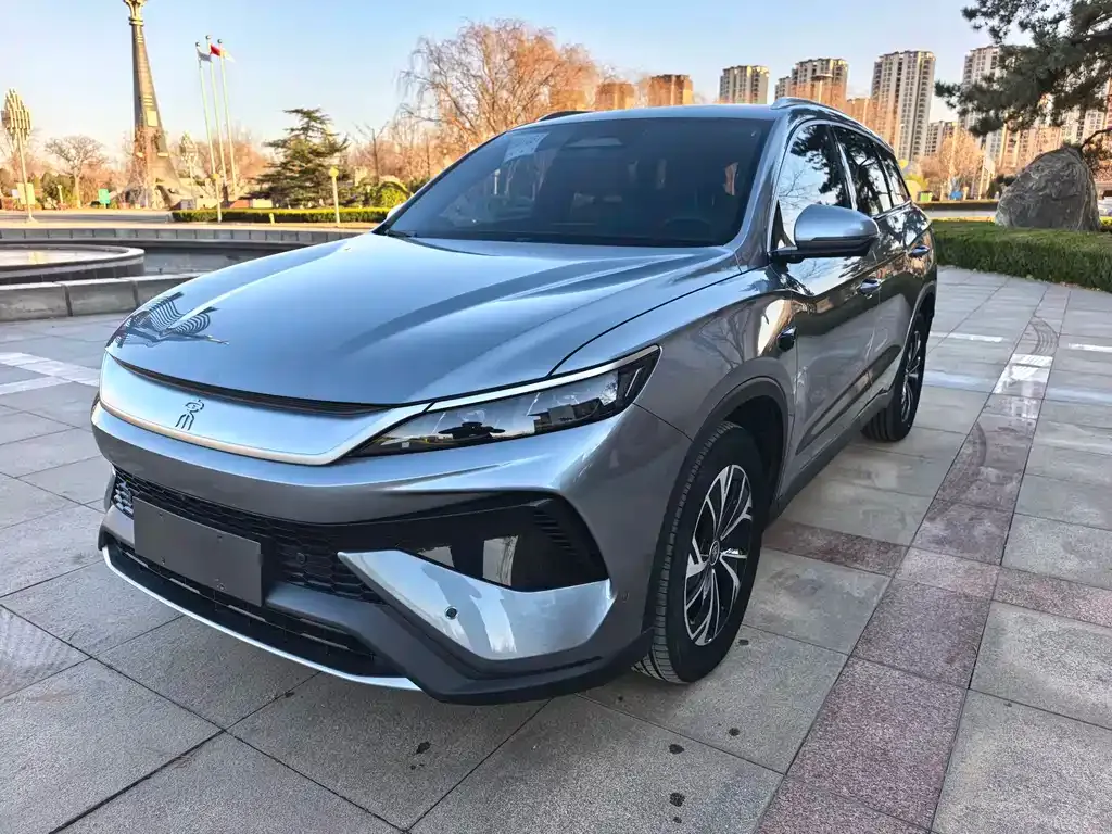 BYD Pro New Energy 2025 из CN, фото 1