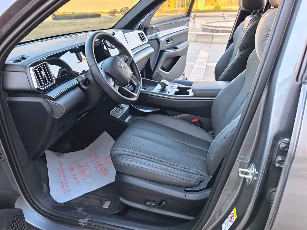 BYD Pro New Energy 2025 из CN, фото 3