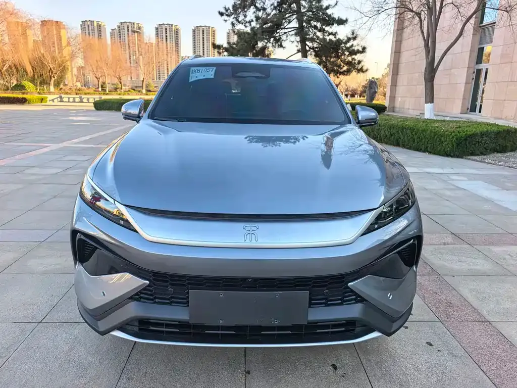 BYD Pro New Energy 2025 из CN, фото 7