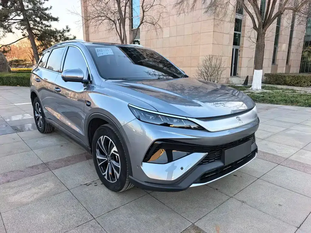 BYD Pro New Energy 2025 из CN, фото 10