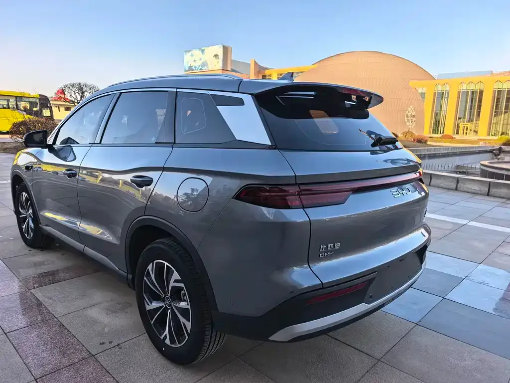 BYD Pro New Energy 2025 из CN, фото 6