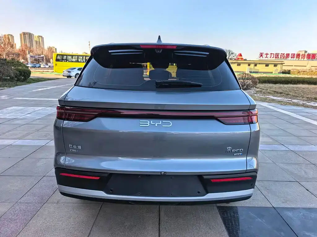 BYD Pro New Energy 2025 из CN, фото 8