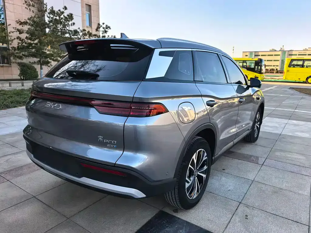 BYD Pro New Energy 2025 из CN, фото 5