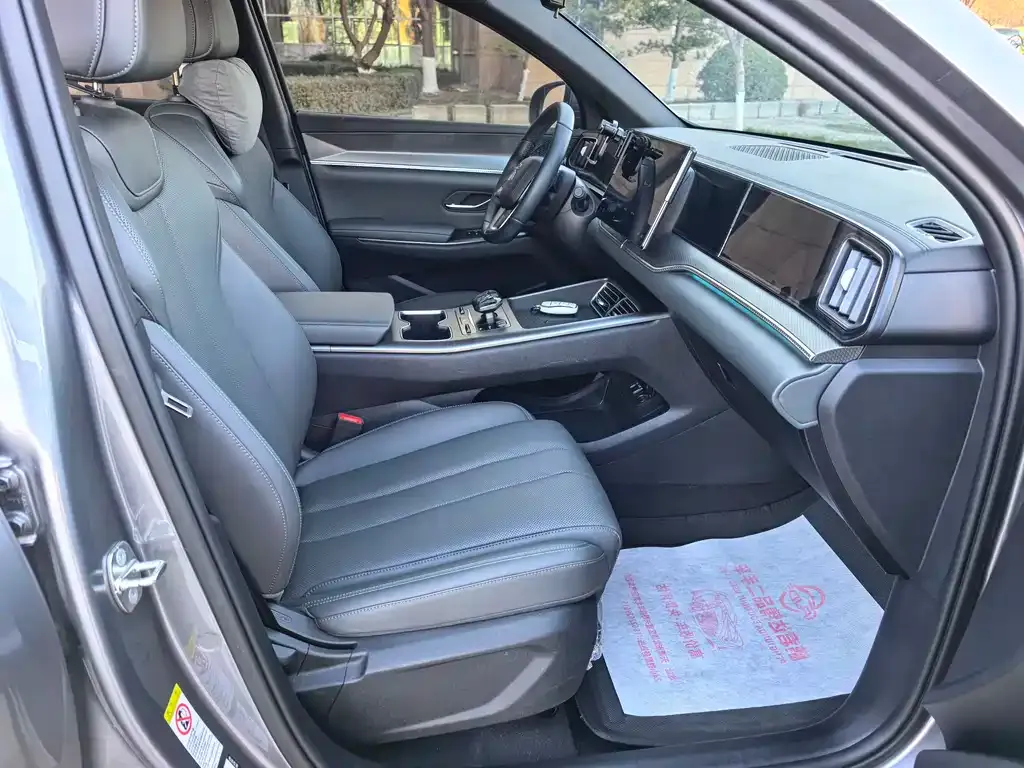 BYD Pro New Energy 2025 из CN, фото 2