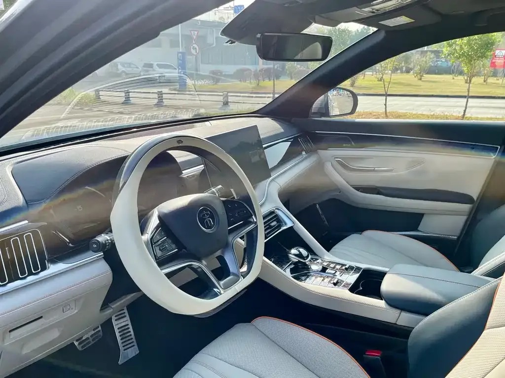 BYD PLUS New Energy — фото 10